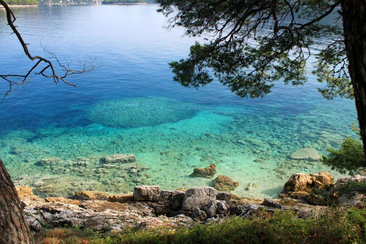 Apartments By The Sea Ubli, Lastovo - 8354 Uble Esterno foto