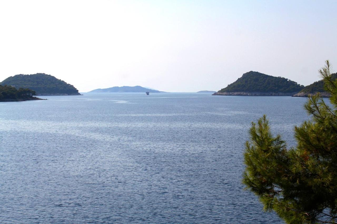 Apartments By The Sea Ubli, Lastovo - 8354 Uble Esterno foto